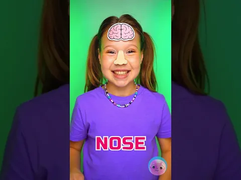 Explore Face Parts! 🧱👀 Build from Clay! 💡