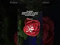 Download Lagu Resulullah Sallallahu aleyhi ve sellem Sabah ve akşam Şu duaları hiç terk etmezdi
