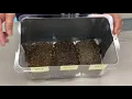 Grade 4 - Designing an Isopod Environment