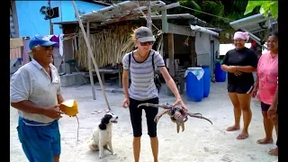 Maupiha’a  French Polynesia close traffic incident with a WHALE!!! /  Sailing Aquarius #45