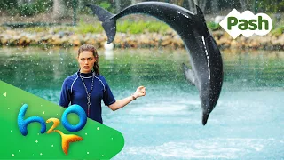 La ✨ERA✨ del Parque Marino de Cleo – Resumen de H2O Just Add Water