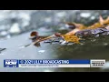 Erie News Now at 6 March 23 2021
