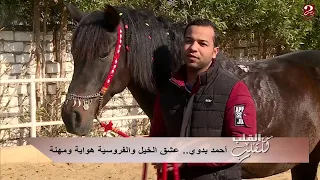 أحمد بدوي عشق الخيل والفروسية هواية ومهنة 