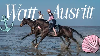 Watt Ausritt 🌊🐚🦀 das müsst ihr beachten! annchenaugustine 