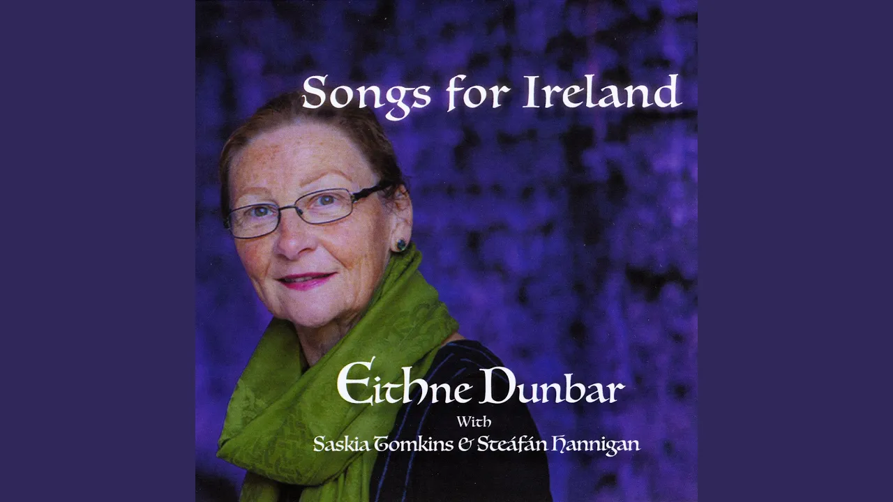 The Galway Shawl (feat. Steáfán Hannigan & Saskia Tomkins) The Galway Shawl (feat. Steáfán Hannigan & Saskia Tomkins)
