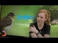 Could AI Unlock the Secrets of Animal Communication The Future With Hannah Fry