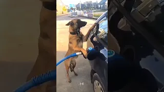 ويعيبو فياا بتوعت امبارح                                                                     دندنها