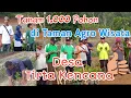 Download Lagu Tanam Seribu Pohon di Taman Agro Wisata Tirta Kencana