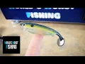The Smallest Hand Pour Swimbait Mold Angling Ai G3 Swimbait