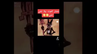 تختار الموت  او تشي تشي   دندنها