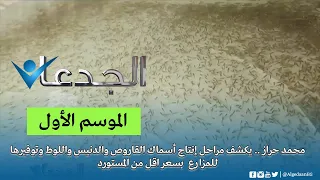 محمد حراز    يكشف مراحل إنتاج أسماك القاروص والدنيس واللوط وتوفيرها للمزارع  بسعر اقل من المستورد دندنها