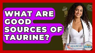 What Are Good Sources Of Taurine - Ask A Pet Vet