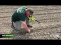 Tips for Checking Planter Depth
