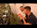 Inside Tip Top Crop How a Small Detroit Grow Is Producing Top Tier Flower