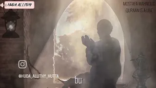 مصطفى محمود القرآن كائن حي 