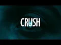 Download Lagu Zara Larsson - Crush (Lyrics)