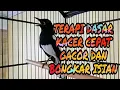 KICAUAN DASAR KACER CEPAT BONGKAR ISIAN
