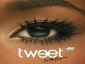 Tweet - Small Change (HQ) + download mp3 link