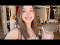Download Lagu a week in my life vlog