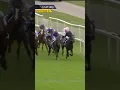 Download Lagu Pride Of Arras wins the Great Voltigeur #horse #horseracing #racingtv #sport #britishhorseracing
