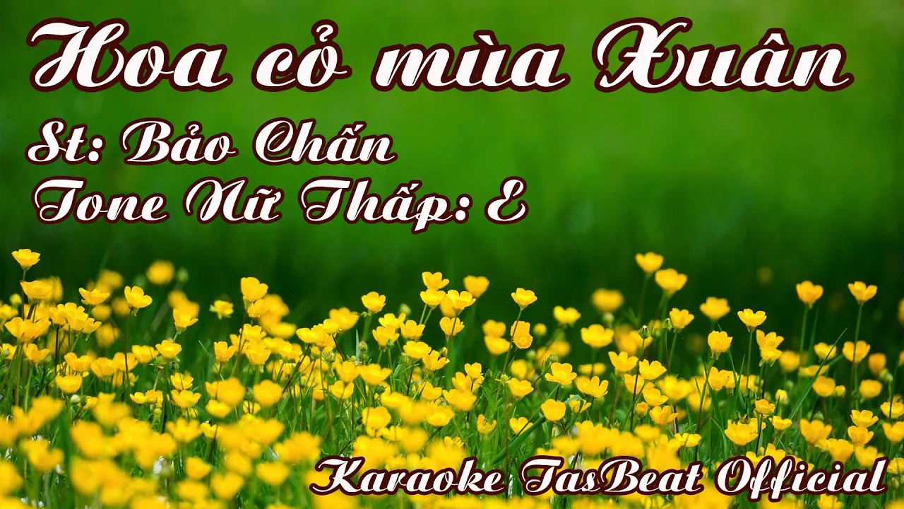 Karaoke Hoa Cỏ Mùa Xuân Tone Nữ Thấp | TAS BEAT