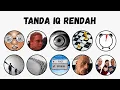 Download Lagu Tanda IQ Rendah Dijelaskan Dalam 9 Menit