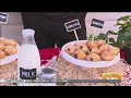 Agsalda Bros - Malasadas
