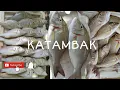 Lagu KATAMBAK FISH by Mama Dahlz \u0026 Wakikoy's Lamiang Seafoods