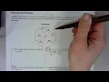 Lesson 7 Problem-Solving Practice sheet