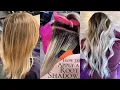 How To Apply A Root Shadow Tips And Formulation For Blending Grow Out Explaining Application