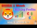 Shiba Inu Mining Profits after 1 Week using unMineable Was it Worth It
