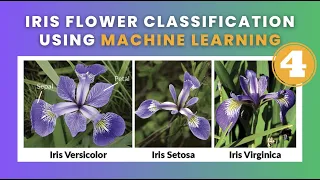 Iris Flower Classification - Part 4 Data Science Machine Learning Python 2023
