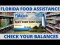 EBT SNAP D-SNAP FOR Florida FOOD ASSISTANCE