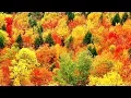 Download Lagu Peaceful Music, Relaxing Music, Instrumental Music, \