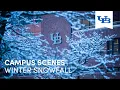 Winter Snowfall University at Buffalo
