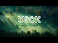 USOK rap Lyrics by Estranghero ft. Mike Kosa
