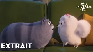 Comme des Bêtes 2 - Extrait : "Gidget remarque quelque chose" VF