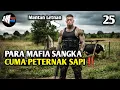 Lagu Peternak Sapi Yang Akan Meratakan Para Mafia Timur - Alur Cerita Film Action