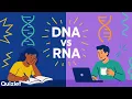 DNA vs RNA Explained Structure Function 3 Types of RNA