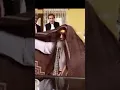 Download Lagu nawaz sharif funny 😆video #https://sck.io/p/Bucc8I8G