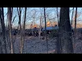 Grafton and Upton Burning Off Propane From LPG Tank Cars?