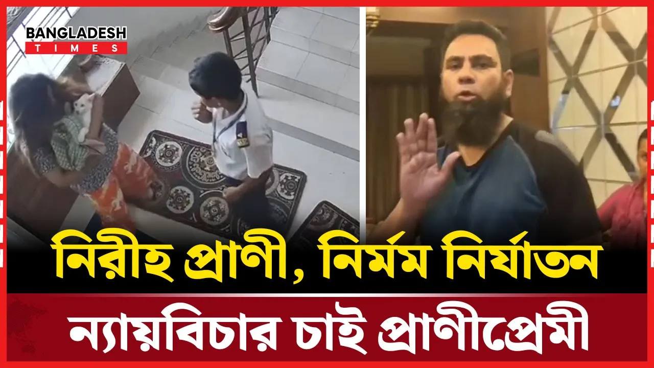 বিড়ালের প্রতি নৃশংসতা ভিডিও ভাইরাল,নেটিজেনদের নিন্দার ঝড়