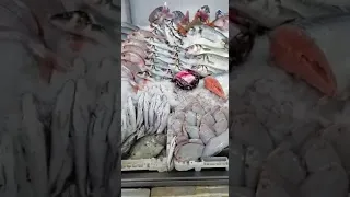 Marché Central De Rabat 