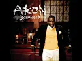 Don't Matter (Instrumental) - Akon