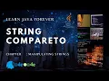 compareTo function in Java compare two strings in Java