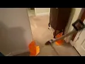 Peace Frog Specialty Cleaning Carpet Cleaning