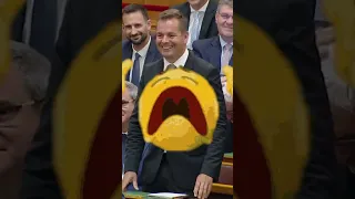 dr. Hallerné dr. Nagy Anikó alelnök asszony a nap hőse. 