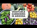VEGETABLE GARDENING in Arizona 7 Principles for SUCCESS Growing in the Garden