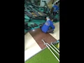phòng tập gym giá rẻ hà nội Update 2022 Kiến Vàng chuyển phòng tập Gym Hà Nội giá rẻ 09788044 66