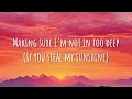Len - Steal My Sunshine (lyrics)
